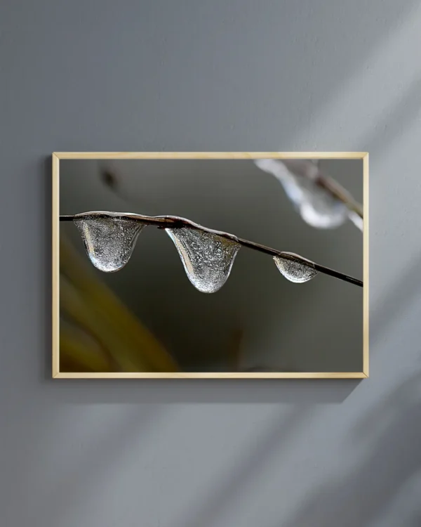 Kristal Damla – Doğanın Minimal Şiiri - Image 2