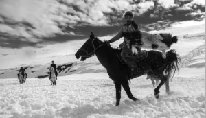 Atların Oyunu – Van Ulupamir'de Özgürlük ve Güç