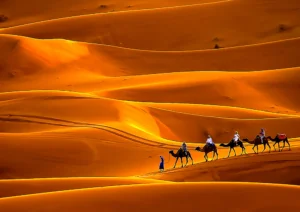 Çölde Kervan – Fas Merzouga’da Altın Kumların İzinde
